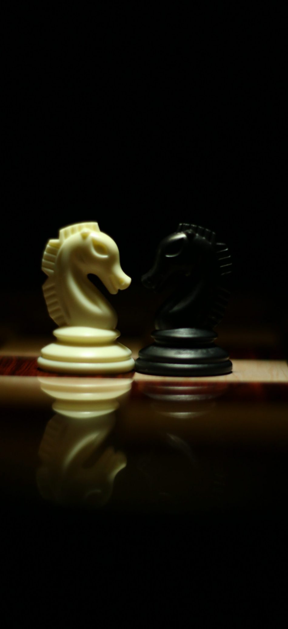 two-white-and-black-chess-knights-facing-each-other-on-chess-839428